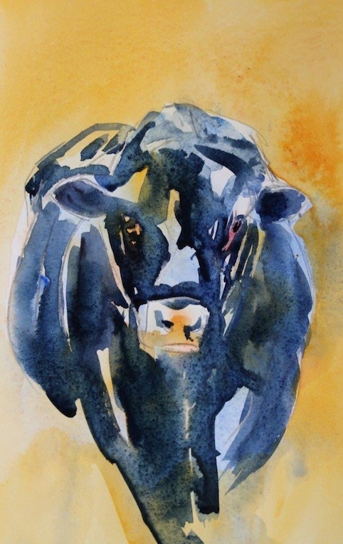 Jane McIntosh   orange Cow   wbcopy.jpeg